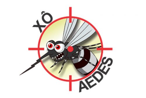 Saúde aumenta em 44% o número de agentes de combate ao Aedes aegypti